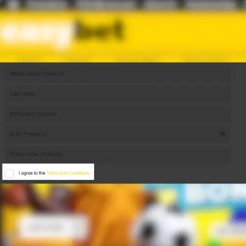 Accept the Easybet operator's terms